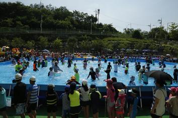 학교로 물놀이가자!「제4회 성북 문화바캉스!!」 사진 3